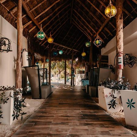 Hotel Paradise Suites Isla Mujeres Zewnętrze zdjęcie