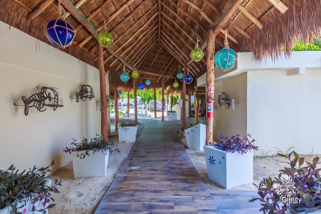 Hotel Paradise Suites Isla Mujeres Zewnętrze zdjęcie