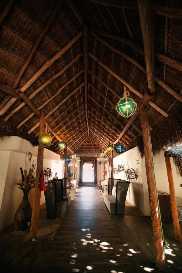 Hotel Paradise Suites Isla Mujeres Zewnętrze zdjęcie